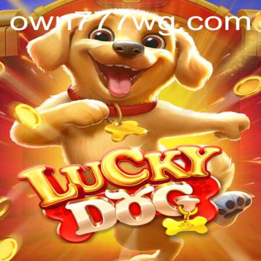Tudo sobre LuckyDog: Um Jogo de Azar e Estratégia